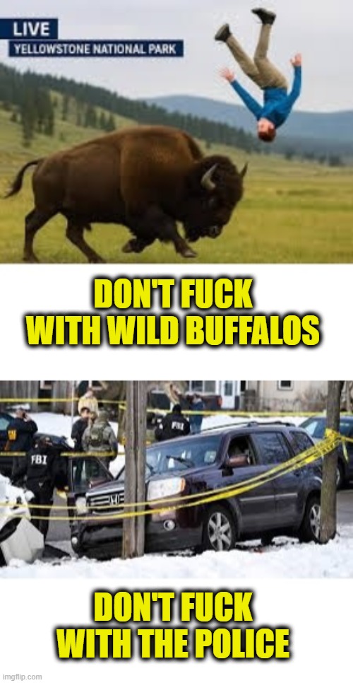 Common sense should be easy | DON'T FUCK
WITH WILD BUFFALOS; DON'T FUCK
WITH THE POLICE | image tagged in leftists | made w/ Imgflip meme maker