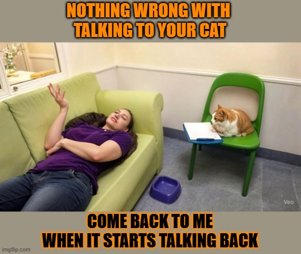 This #lolcat wonders if it's okay to talk to your cat | NOTHING WRONG WITH 
TALKING TO YOUR CAT; COME BACK TO ME
WHEN IT STARTS TALKING BACK | image tagged in lolcat,therapist,crazy,psychiatrist | made w/ Imgflip meme maker