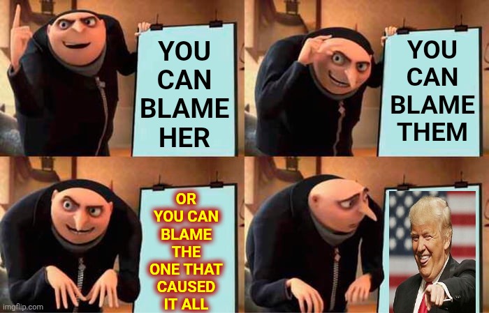 Impeach. Convict. Remove. INCARCERATE! | YOU CAN BLAME THEM; YOU
CAN
BLAME
HER; OR YOU CAN BLAME THE ONE THAT CAUSED IT ALL | image tagged in memes,gru's plan,impeach trump,trump unfit unqualified dangerous,lock him up,release the epstein files | made w/ Imgflip meme maker