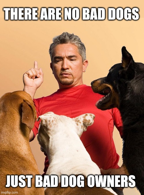 THERE ARE NO BAD DOGS JUST BAD DOG OWNERS | made w/ Imgflip meme maker