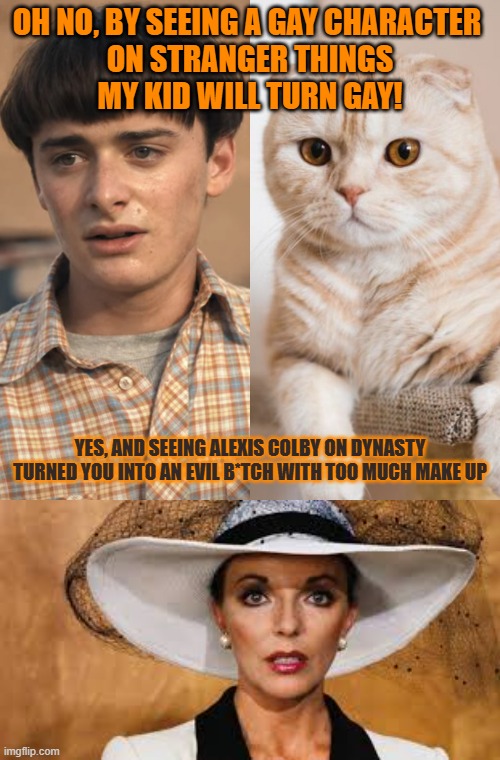 This #lolcat wonders if seeing a straight person can turn someone straight | OH NO, BY SEEING A GAY CHARACTER 
ON STRANGER THINGS
MY KID WILL TURN GAY! YES, AND SEEING ALEXIS COLBY ON DYNASTY

TURNED YOU INTO AN EVIL B*TCH WITH TOO MUCH MAKE UP | image tagged in straight,homophobic,lolcat,stranger things | made w/ Imgflip meme maker