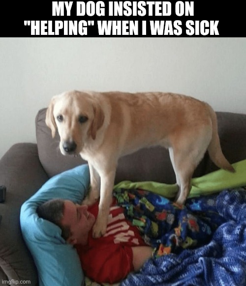 My Dog Insisted On Helping When I Was Sick | MY DOG INSISTED ON "HELPING" WHEN I WAS SICK | image tagged in chrisjoines1 | made w/ Imgflip meme maker