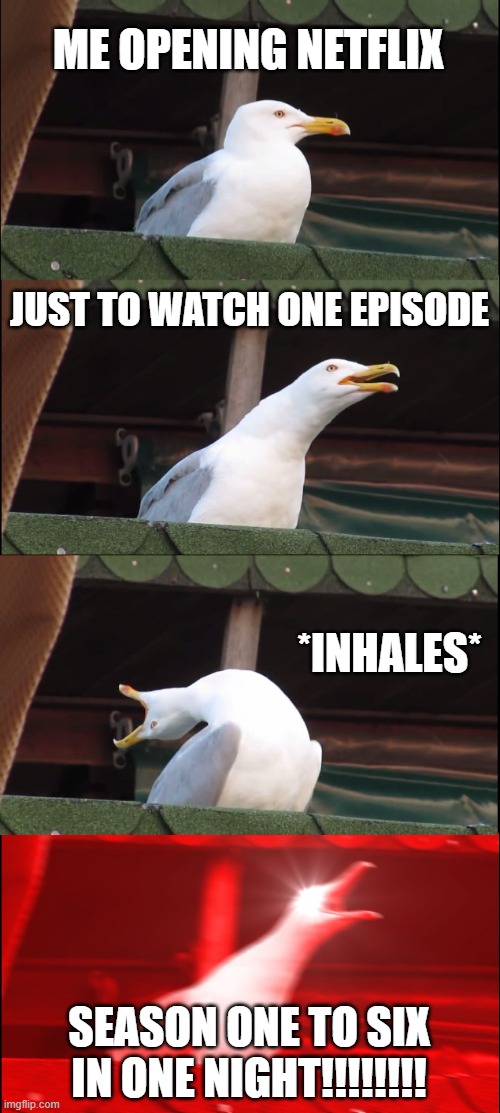crazy seagull | ME OPENING NETFLIX; JUST TO WATCH ONE EPISODE; *INHALES*; SEASON ONE TO SIX IN ONE NIGHT!!!!!!!! | image tagged in memes,inhaling seagull | made w/ Imgflip meme maker