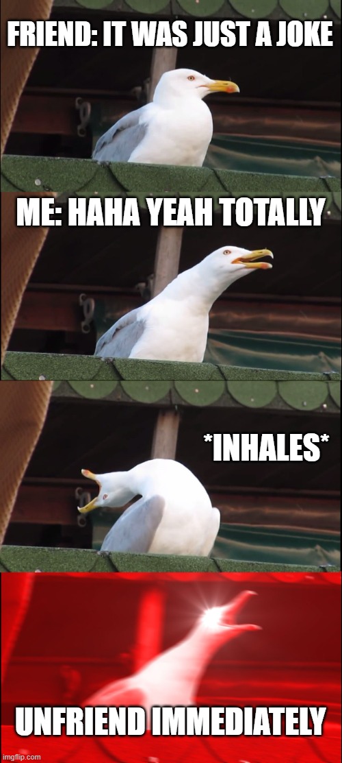 angry seagull | FRIEND: IT WAS JUST A JOKE; ME: HAHA YEAH TOTALLY; *INHALES*; UNFRIEND IMMEDIATELY | image tagged in memes,inhaling seagull | made w/ Imgflip meme maker