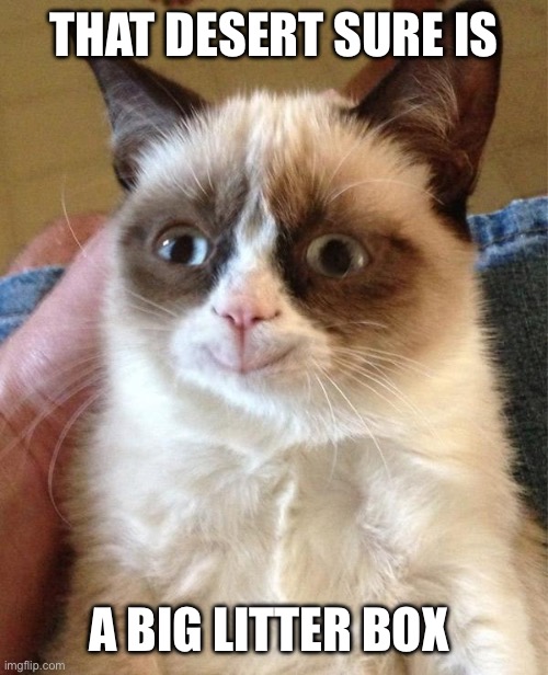 Grumpy Cat Happy Meme | THAT DESERT SURE IS A BIG LITTER BOX | image tagged in memes,grumpy cat happy,grumpy cat | made w/ Imgflip meme maker