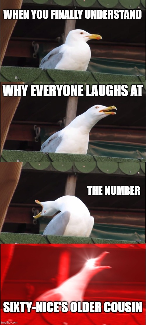 seagul | WHEN YOU FINALLY UNDERSTAND; WHY EVERYONE LAUGHS AT; THE NUMBER; SIXTY-NICE'S OLDER COUSIN | image tagged in memes,inhaling seagull | made w/ Imgflip meme maker