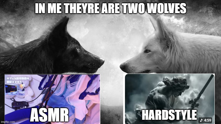 You can judge me | IN ME THEYRE ARE TWO WOLVES; HARDSTYLE; ASMR | image tagged in you have two wolves | made w/ Imgflip meme maker