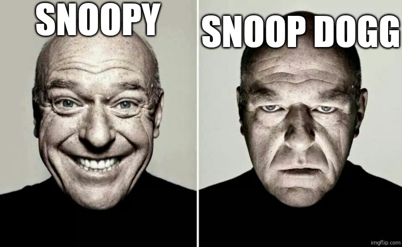snoop | SNOOPY; SNOOP DOGG | image tagged in happy guy vs angry guy,snoopy,snoop dogg,funny,funny memes | made w/ Imgflip meme maker