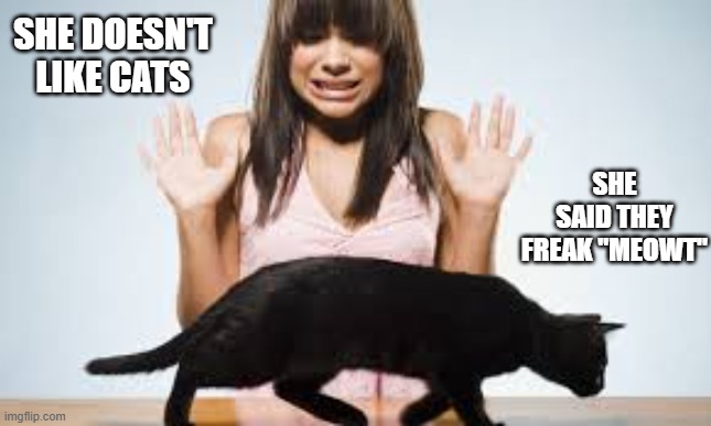 She didn't like cats. She said "they freak meowt". | SHE SAID THEY FREAK "MEOWT"; SHE DOESN'T LIKE CATS | image tagged in cat,kitten,funny,humor,play on words,joke | made w/ Imgflip meme maker