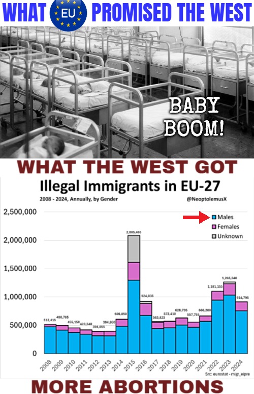 WHAT         PROMISED THE WEST; BABY BOOM! | image tagged in european union,globalism,illegal immigration | made w/ Imgflip meme maker