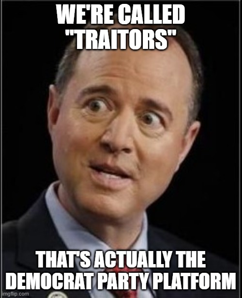 Adam Schiff | WE'RE CALLED "TRAITORS" THAT'S ACTUALLY THE DEMOCRAT PARTY PLATFORM | image tagged in adam schiff | made w/ Imgflip meme maker