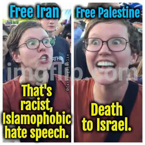 Ladies & Gentleman I present to you Freedom loving Liberal Left | Free Palestine; Free Iran; @darking2jarlie; That's racist, Islamophobic hate speech. Death to Israel. | image tagged in liberals,liberal hypocrisy,iran,democrats | made w/ Imgflip meme maker
