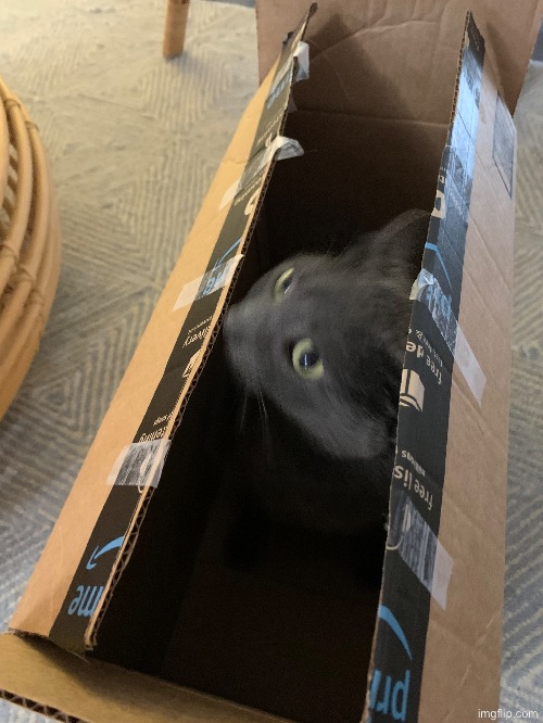 GET OUT | made w/ Imgflip meme maker