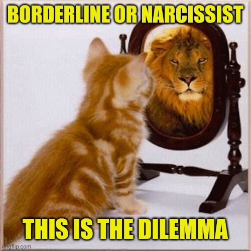 cat mirror lion | BORDERLINE OR NARCISSIST; THIS IS THE DILEMMA | image tagged in cat mirror lion | made w/ Imgflip meme maker