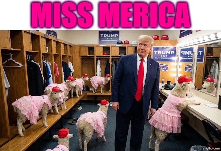 MISS MERICA | MISS MERICA | image tagged in trump,maga,jeffrey epstein,child molester,sexual predator,pedophile | made w/ Imgflip meme maker
