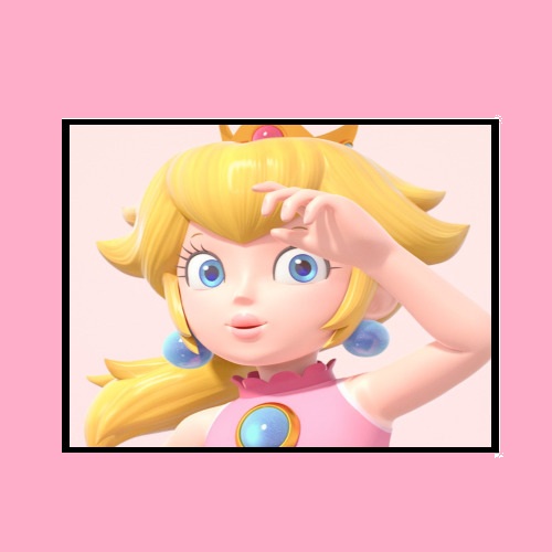 princess peach pink Blank Meme Template