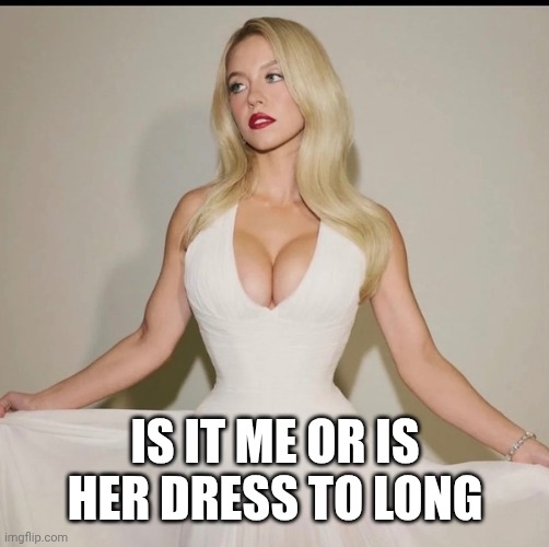 Oh Sydney | IS IT ME OR IS HER DRESS TO LONG | image tagged in sydney | made w/ Imgflip meme maker
