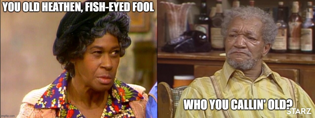 YOU OLD HEATHEN, FISH-EYED FOOL WHO YOU CALLIN' OLD? | image tagged in auntie esther,fred sanford | made w/ Imgflip meme maker