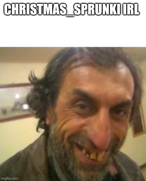 Ugly Guy | CHRISTMAS_SPRUNKI IRL | image tagged in ugly guy | made w/ Imgflip meme maker