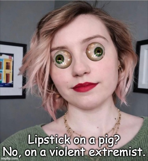The media has retouched every photo of the tender loving mommy, thought I'd give it a try | Lipstick on a pig? No, on a violent extremist. | image tagged in renee nicole good | made w/ Imgflip meme maker