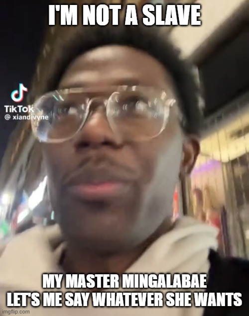 democrats are STILL very racist | I'M NOT A SLAVE; MY MASTER MINGALABAE LET'S ME SAY WHATEVER SHE WANTS | image tagged in xiandivyne | made w/ Imgflip meme maker