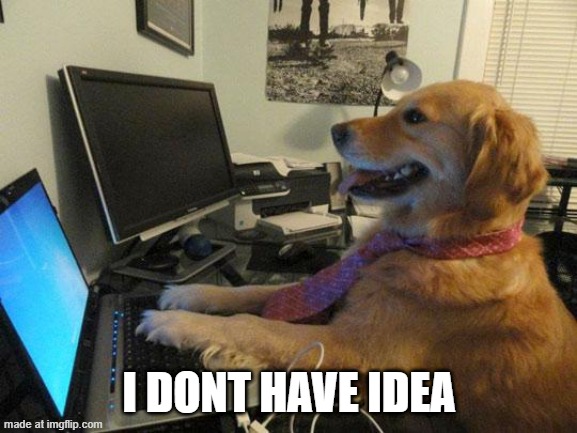 i have no idea | I DONT HAVE IDEA | image tagged in i have no idea | made w/ Imgflip meme maker