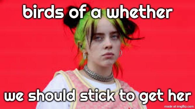 Billie Eilish | birds of a whether; we should stick to get her | image tagged in billie eilish | made w/ Imgflip meme maker