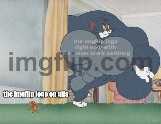 imgflip in a nutshell | the imgflip logo right now with the water mark settinng; the imgflip logo on gifs | image tagged in buff tom and jerry meme template,imgflip | made w/ Imgflip meme maker