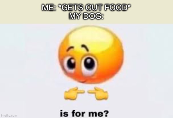 Is for me | ME: *GETS OUT FOOD*
MY DOG: | image tagged in is for me,dogs | made w/ Imgflip meme maker