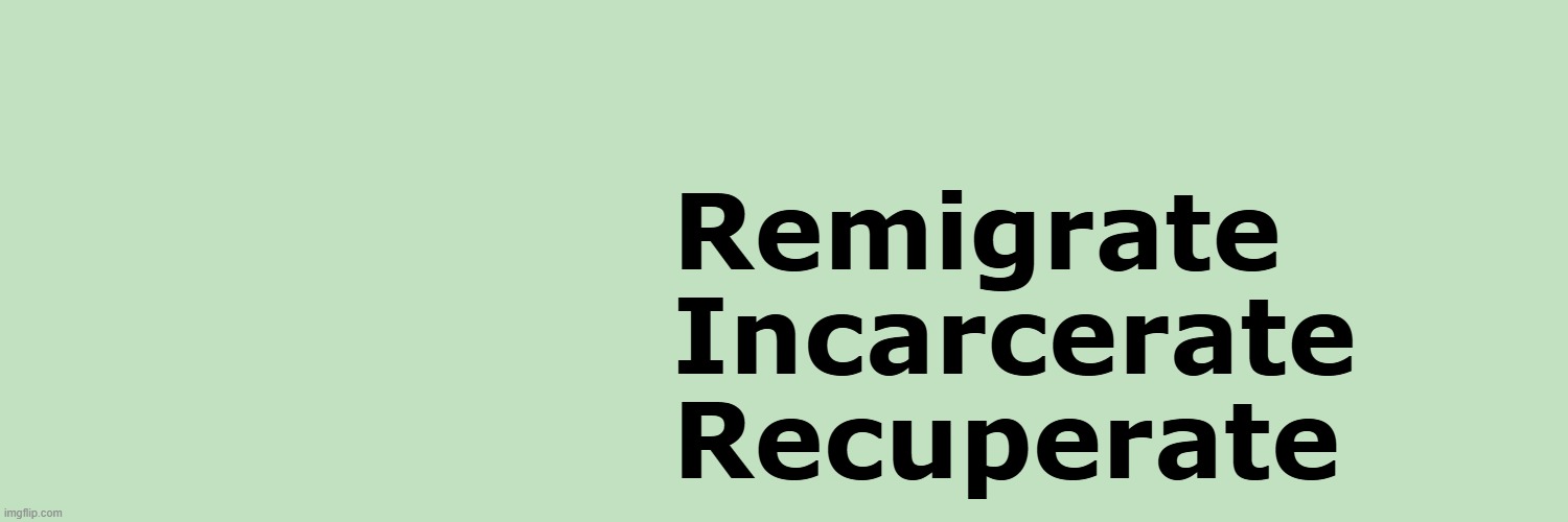 Save America, Europe, and Japan now | Remigrate
Incarcerate
Recuperate | image tagged in barbarian,african,indians,pakistan,muslims,deportation | made w/ Imgflip meme maker