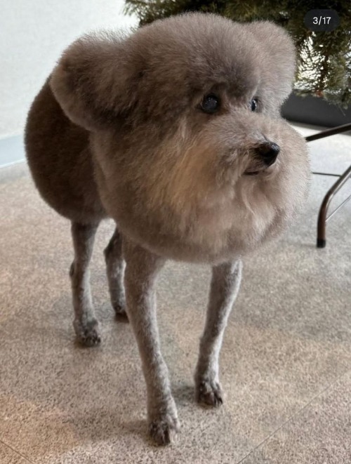 is that who i think it is | made w/ Imgflip meme maker