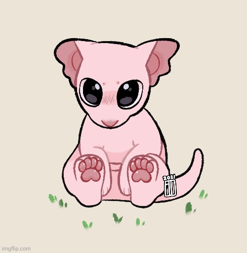 Do you like the Bingus? | image tagged in v1,ver 1,version 1,version one,version numero uno,first version | made w/ Imgflip meme maker