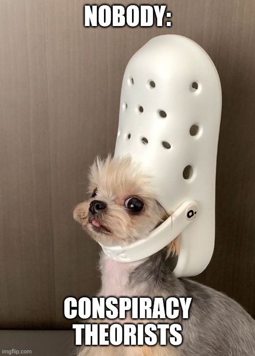 Conspiracy theorists | NOBODY:; CONSPIRACY THEORISTS | image tagged in dog wearing shoe hat,kizonae4289,funny,jpfan102504 | made w/ Imgflip meme maker