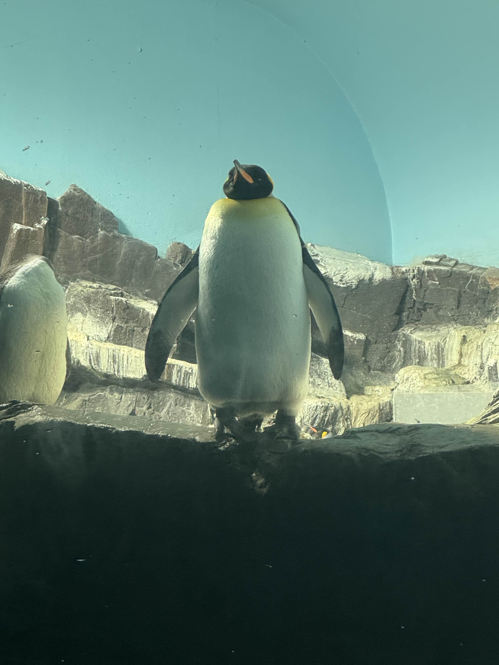 bro im just standing here Blank Meme Template