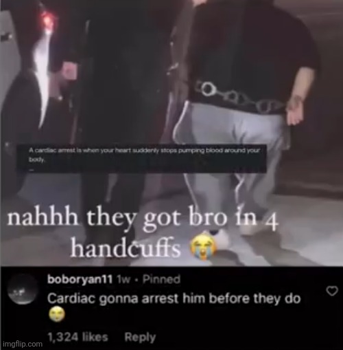 image tagged in insults,funny,memes,comments,arrested,obese | made w/ Imgflip meme maker