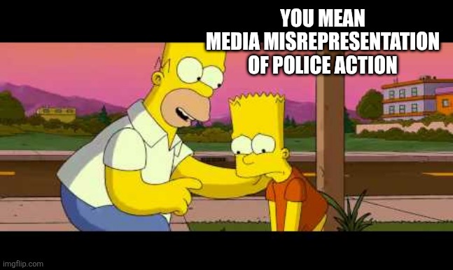 Homer So Far | YOU MEAN
MEDIA MISREPRESENTATION
OF POLICE ACTION | image tagged in homer so far | made w/ Imgflip meme maker
