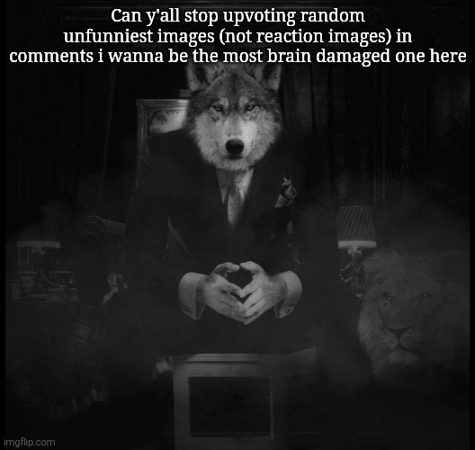 Wolf on a chair | Can y'all stop upvoting random unfunniest images (not reaction images) in comments i wanna be the most brain damaged one here | image tagged in wolf on a chair | made w/ Imgflip meme maker