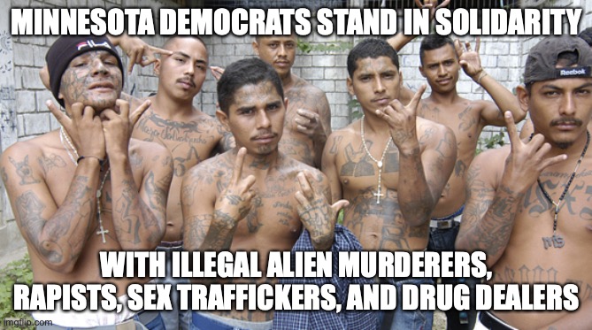Gang members  | MINNESOTA DEMOCRATS STAND IN SOLIDARITY; WITH ILLEGAL ALIEN MURDERERS, RAPISTS, SEX TRAFFICKERS, AND DRUG DEALERS | image tagged in gang members | made w/ Imgflip meme maker