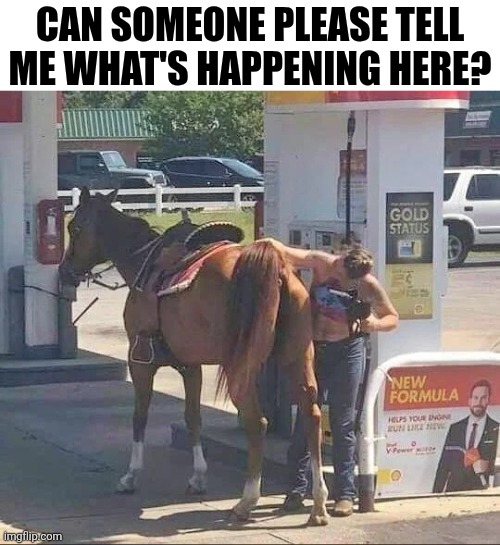 Can Someone Please Tell Me What's Happening Here? | CAN SOMEONE PLEASE TELL ME WHAT'S HAPPENING HERE? | image tagged in chrisjoines1 | made w/ Imgflip meme maker