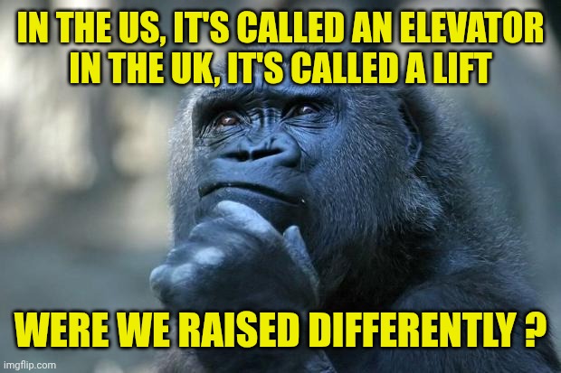 Deep Thoughts | IN THE US, IT'S CALLED AN ELEVATOR
IN THE UK, IT'S CALLED A LIFT; WERE WE RAISED DIFFERENTLY ? | image tagged in deep thoughts | made w/ Imgflip meme maker