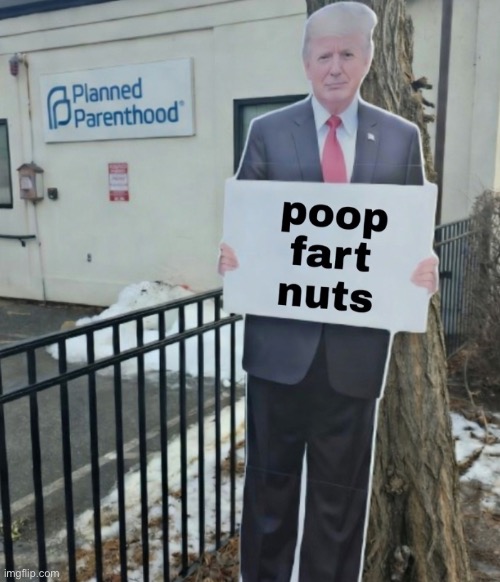 poop fart nuts | made w/ Imgflip meme maker