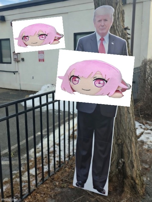 wonderhoy Wonderhoy won der hoy | image tagged in trump sign | made w/ Imgflip meme maker