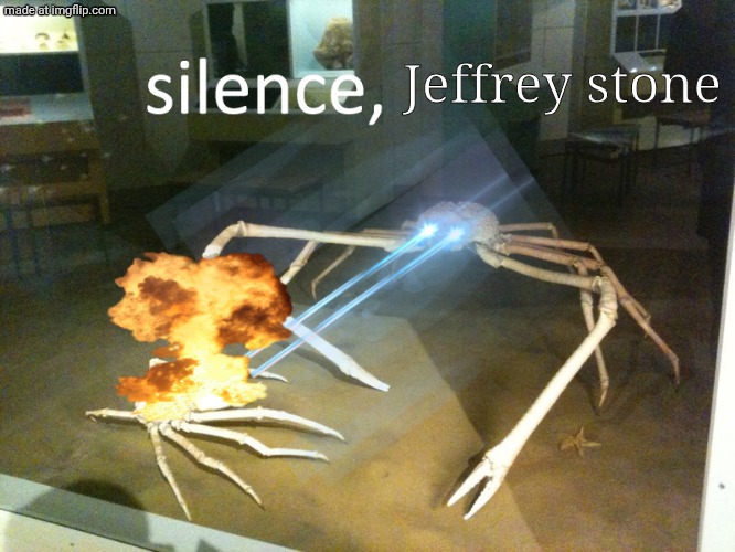 Jeffrey stone | image tagged in silence | made w/ Imgflip meme maker