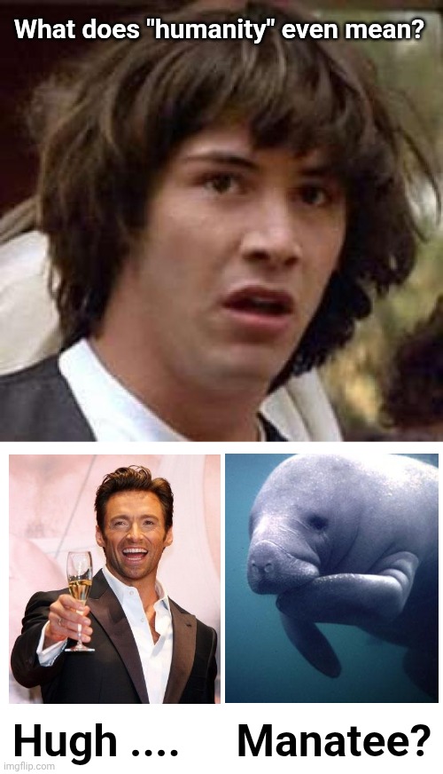 What does "humanity" even mean? Hugh ....     Manatee? | image tagged in memes,conspiracy keanu,blank white template | made w/ Imgflip meme maker
