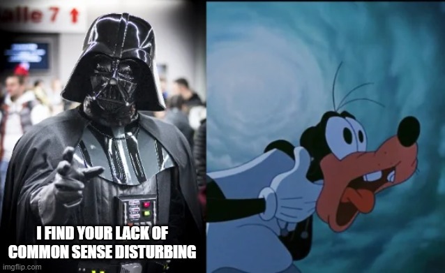 Force Choke Goofy | I FIND YOUR LACK OF COMMON SENSE DISTURBING | image tagged in darth vader | made w/ Imgflip meme maker