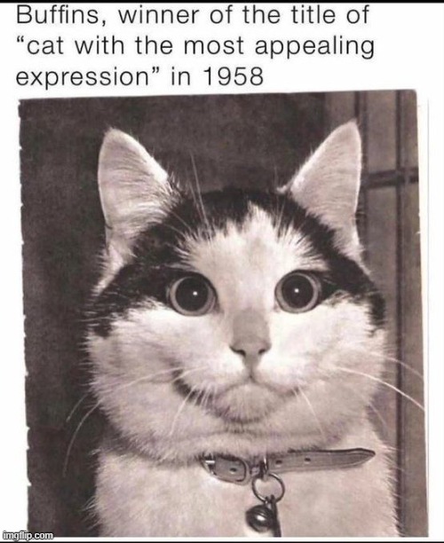 he's so polite | made w/ Imgflip meme maker