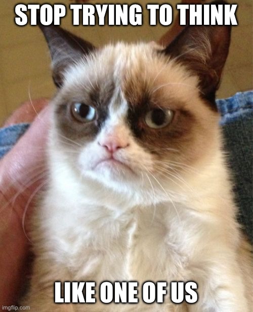 Grumpy Cat Meme | STOP TRYING TO THINK LIKE ONE OF US | image tagged in memes,grumpy cat | made w/ Imgflip meme maker