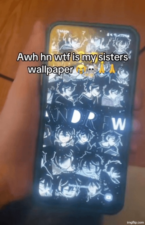 memeus's wallpaper on her phone got leaked | made w/ Imgflip meme maker