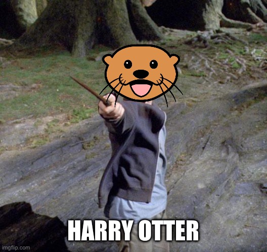 Harry potter | HARRY OTTER | image tagged in harry potter | made w/ Imgflip meme maker
