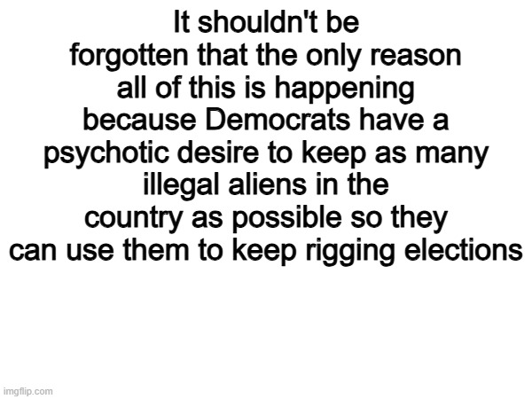 The Democrats are the party of chaos and lawlessness | It shouldn't be forgotten that the only reason all of this is happening because Democrats have a psychotic desire to keep as many illegal aliens in the country as possible so they can use them to keep rigging elections | image tagged in memes,funny,democrats,politics,political meme | made w/ Imgflip meme maker